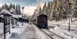 Single Silvesterreise Harz